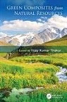 Vijay Kumar Thakur, Vijay Kumar Thakur - Green Composites From Natural Resources