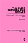 David Ward - T. S. Eliot Between Two Worlds