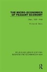 Thomas B. Wiens, Wiens Thomas B. - Micro-Economics of Peasant Economy, China 1920-1940