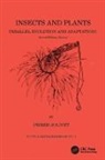 Jolivet, Pierre Jolivet, Jolivet Pierre - Insects and Plants