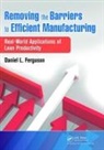 Daniel L. Ferguson, Ferguson Daniel L. - Removing the Barriers to Efficient Manufacturing