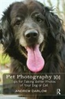 Andrew Darlow - Pet Photography 101