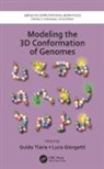 Guido Giorgetti Tiana, Luca Giorgetti, Guido Tiana - Modeling the 3d Conformation of Genomes