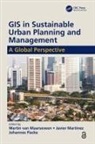 Martin (Itc Van Maarseveen, Martin Martinez Van Maarseveen, Johannes Flacke, Javier Martinez, Martinez Javier, Martin van Maarseveen - Gis in Sustainable Urban Planning and Management