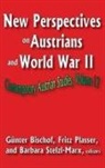 Fritz Plasser, Fritz Plasser - New Perspectives on Austrians and World War II