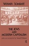 Werner Sombart - Jews and Modern Capitalism