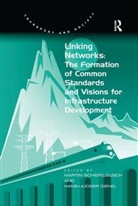 Hans-Liudger Dienel, Martin Schiefelbusch - Linking Networks: The Formation of Common Standards and Visions for