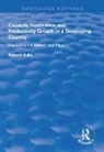 Ruhul A. Salim, Salim Ruhul A. - Capacity Realization and Productivity Growth in a Developing Country