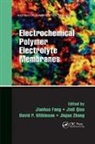 Jianhua Qiao Fang, Jianhua Fang, Fang Jianhua, Jinli Qiao, Qiao Jinli, David P. Wilkinson... - Electrochemical Polymer Electrolyte Membranes