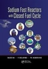 P. Chellapandi, Chellapandi P., Baldev Raj, Baldev (Indira Gandhi Centre of Atomic Resear Raj, Baldev Chellapandi Raj, Raj Baldev... - Sodium Fast Reactors With Closed Fuel Cycle