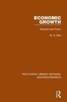 Walter Eltis, Eltis Walter - Economic Growth