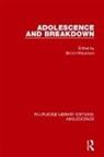 Simon Meyerson, Simon Meyerson, Meyerson Simon - Adolescence and Breakdown