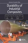 Antonio Filho - Durability of Industrial Composites