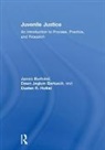 Dawn Jeglum Bartusch, Bartusch Dawn Jeglum, James Burfeind, James Bartusch Burfeind, Dusten R. Hollist - Juvenile Justice