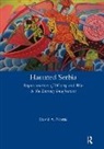 David Norris - Haunted Serbia