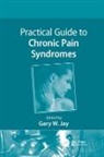 Gary W. Jay, Gary W. (Schwarz Biosciences Jay, Gary W. Jay, Jay Gary W. - Practical Guide to Chronic Pain Syndromes
