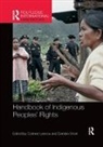 Corinne Short Lennox, Corinne Lennox, Lennox Corinne, Damien Short, Short Damien - Handbook of Indigenous Peoples'' Rights