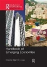 Robert Looney, Robert (Naval Postgraduate School Looney, Looney Robert, Robert Looney, Looney Robert - Handbook of Emerging Economies