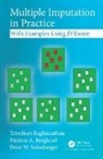 Patricia A. Berglund, Berglund Patricia A., Trivellore Raghunathan, Trivellore (University of Michigan Raghunathan, Trivellore Berglund Raghunathan, Raghunathan Trivellore... - Multiple Imputation in Practice