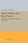 Victoria C. Hattam, Hattam Victoria C. - Labor Visions and State Power