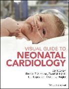 Ernerio T. (Medical Director of Pediatr Alboliras, Cecilio (Leo) Lopez et al, Ernerio T. Alboliras, Donald J. Hagler, Ziyad M. Hijazi, Hijazi Ziyad M.... - Visual Guide to Neonatal Cardiology
