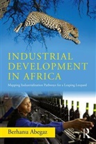 Berhanu Abegaz, Abegaz Berhanu - Industrial Development in Africa