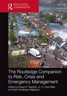 Jr. Gephart, Jr. Miller Gephart, Jr. Gephart, Robert P. Gephart Jr., C. Chet Miller, Miller C. Chet... - Routledge Companion to Risk, Crisis and Emergency Management