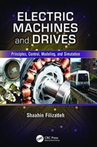 Shaahin Filizadeh, Shaahin (University of Manitoba Filizadeh, Filizadeh Shaahin - Electric Machines and Drives