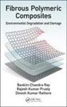 Rajesh Kumar Prusty, Dinesh Kumar Rathore, Bankim Chandra Ray, Bankim Chandra Prusty Ray - Fibrous Polymeric Composites