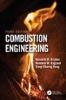 Kenneth Bryden, Kenneth Ragland Bryden, Bryden Kenneth, Song-Charng Kong, Kenneth W. Ragland, Ragland Kenneth W. - Combustion Engineering