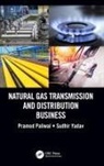 Pramod Paliwal, Pramod Yadav Paliwal, Paliwal Pramod, Sudhir Yadav, Yadav Sudhir - Natural Gas Transmission and Distribution Business