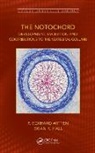 Brian K. Hall, Hall Brian K., P. Eckhard Witten, P. Eckhard (Ghent University Witten, P. Eckhard Hall Witten - Notochord