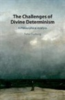 Peter Furlong - Challenges of Divine Determinism