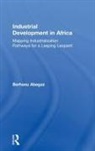 Berhanu Abegaz, Abegaz Berhanu - Industrial Development in Africa