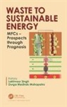 Lakhveer (Biological and Ecological Enginee Singh, Lakhveer Madhab Mahapatra Singh, Durga Madhab Mahapatra, Lakhveer Singh - Waste to Sustainable Energy