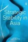 Amit Gupta, Amit Gupta - Strategic Stability in Asia