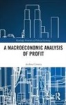Andrea Carrera - Macroeconomic Analysis of Profit