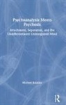 Michael Robbins, Michael (Boston Psychoanalytic Society Robbins, Robbins Michael - Psychoanalysis Meets Psychosis