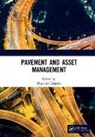 Maurizio Crispino, Maurizio Crispino - Pavement and Asset Management
