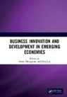 Irwan (Universitas Sebelas Maret Trinugroho, Irwan Lau Trinugroho, Evan Lau, Irwan Trinugroho - Business Innovation and Development in Emerging Economies