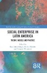 Luiz Inacio Nyssens Gaiger, Luiz Inácio Gaiger, Marthe Nyssens, Nyssens Marthe, Fernanda Wanderley - Social Enterprise in Latin America