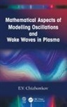 E.V. Chizhonkov, E.v. (Lomonosov Moscow State Universit Chizhonkov - Mathematical Aspects of Modelling Oscillations and Wake Waves in Plasm
