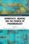 Matthew (University of Essex Burch, Matthew Marsh Burch, Matthew Burch, Jack Marsh, Marsh Jack, Irene McMullin... - Normativity, Meaning, and the Promise of Phenomenology