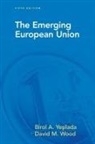 David Wood, Birol Yesilada, Birol (Portland State University Yesilada - Emerging European Union