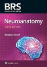 Douglas J. Gould, Dr. Douglas J. Gould - Brs Neuroanatomy
