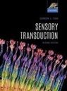 Gordon L. Fain, Gordon L. (Distinguished Professor Emeritus Fain, Fain Gordon L. - Sensory Transduction