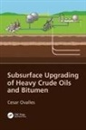 Cesar Ovalles, Cesar (Chevron Energy Technology Center ( Ovalles, Ovalles Cesar - Subsurface Upgrading of Heavy Crude Oils and Bitumen