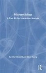 Kai-Olaf Maiwald, Kai-Olaf Suerig Maiwald, Maiwald Kai-Olaf, Inken Suerig - Microsociology