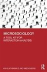 Kai-Olaf Maiwald, Kai-Olaf Suerig Maiwald, Maiwald Kai-Olaf, Inken Suerig - Microsociology
