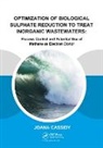 Joana Cassidy, Joana (Unesco-Ihe Institute for Water Edu Cassidy, Cassidy Joana - Optimization of Biological Sulphate Reduction to Treat Inorganic